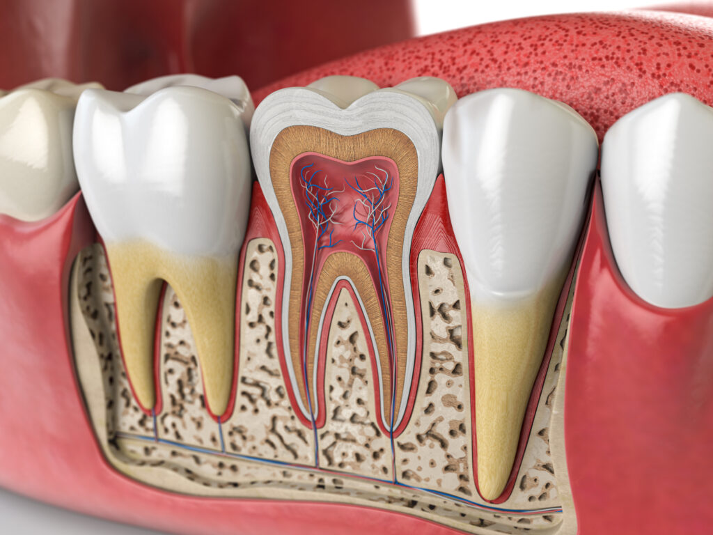 endodontic treatments - Beckstead Dental Group