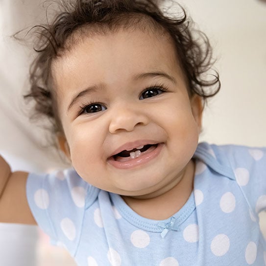 - Beckstead Dental Group
